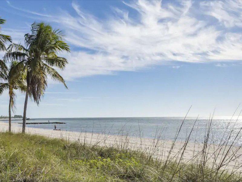 995B934EEDEAE8BA6D5CB8583A66209D