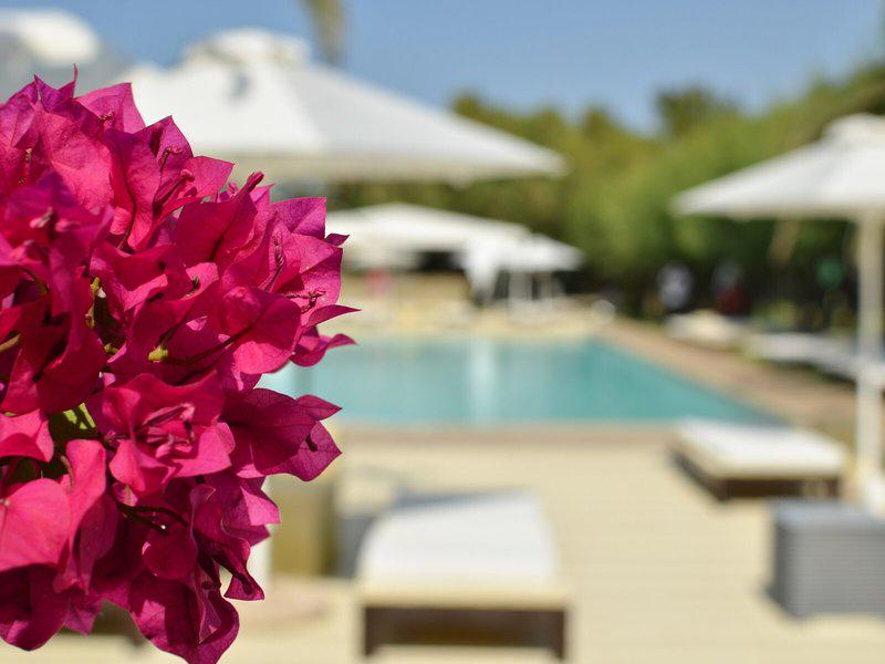 2AEB187A3B5A3C711F33CF89E4FF6B59