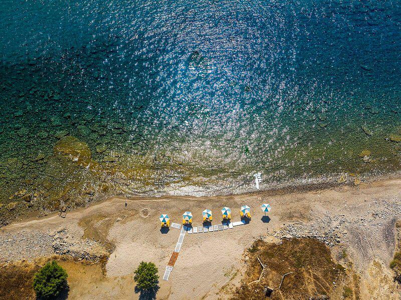 EDD8560D85D5579DE21D0C451672B67B