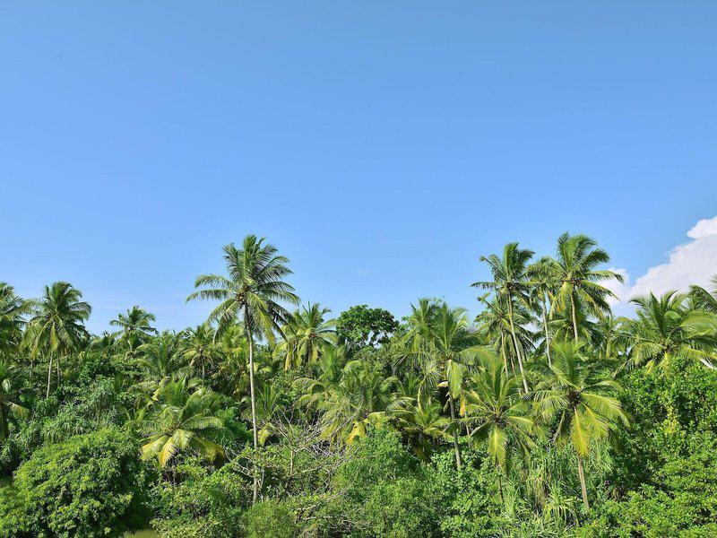 D784204D9F5CFB762EF1D84D465ADF22