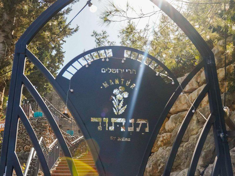 E54D7DB6520C5FA99E29CE4994D81819