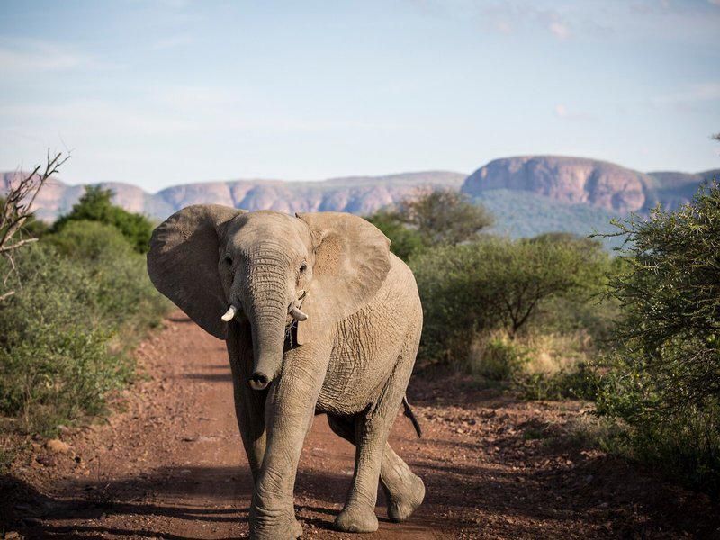 6DB19CAB4D1FA14BDA6733E3BBC37EAA