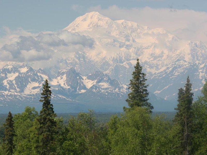 7EDDE15126A9947D2E58328535BCFD19