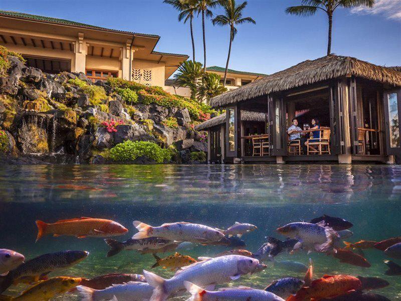 791928730E18F44E38F63A5E3AA15454