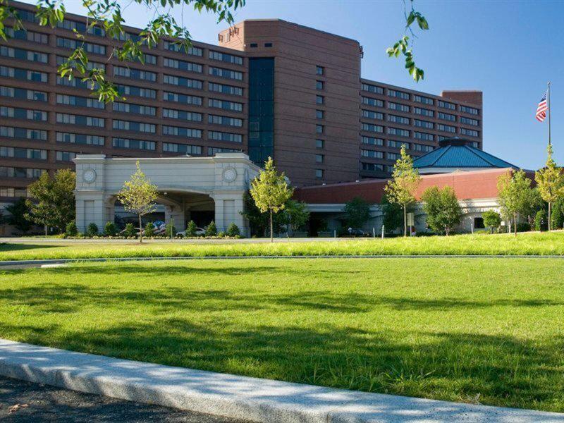 BE94BF5E2BB0144DB8DE6106A269A5BE