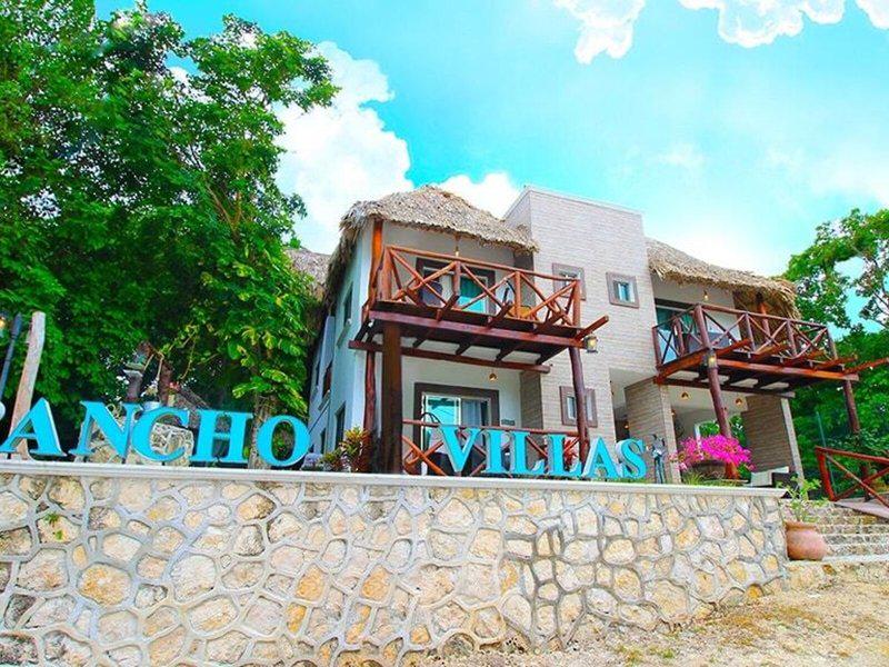 13C98BCCDEA87AE748B42A301355C3B5