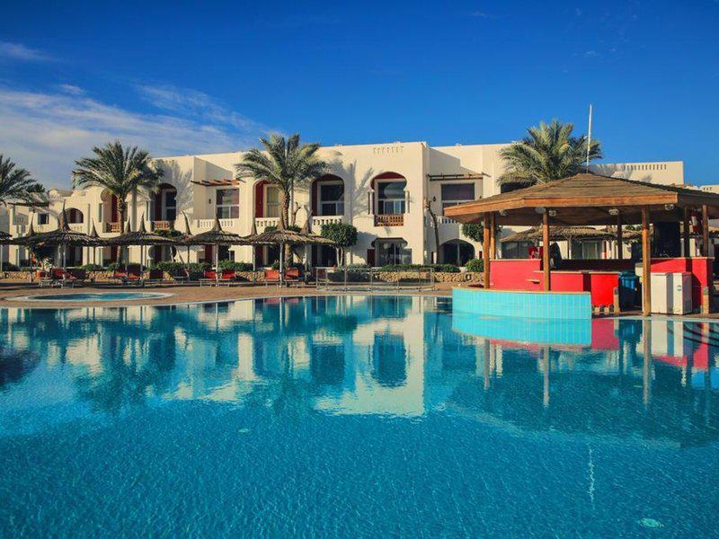 59168B2D5D312D8A6DFB2BA07C641926