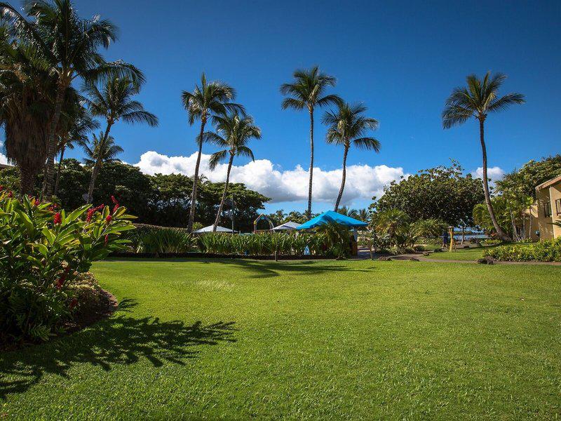 BDD4490BFB9F4524B364884BFC9C004F