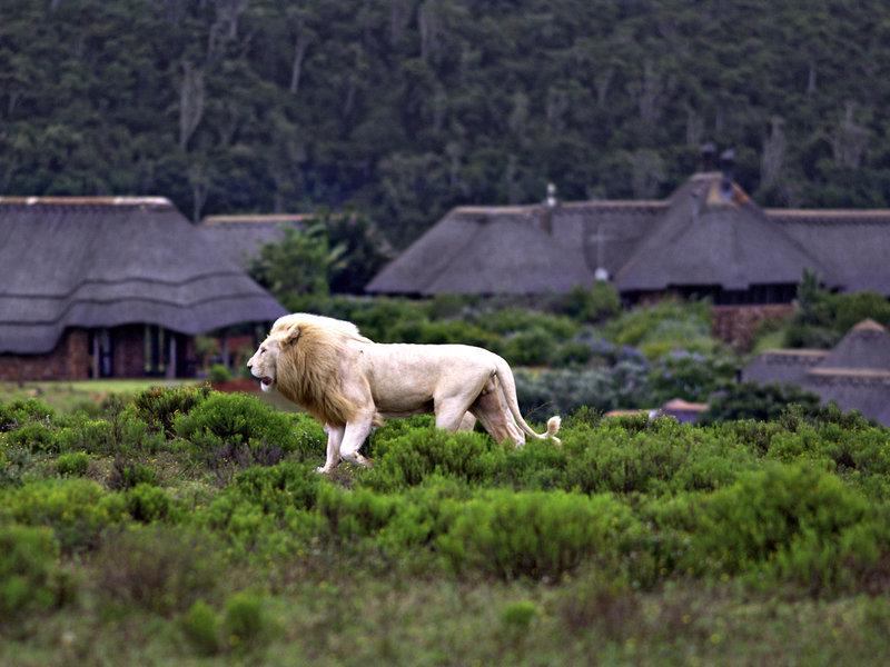 8F3912EEA7A76049AA52081D617AE177