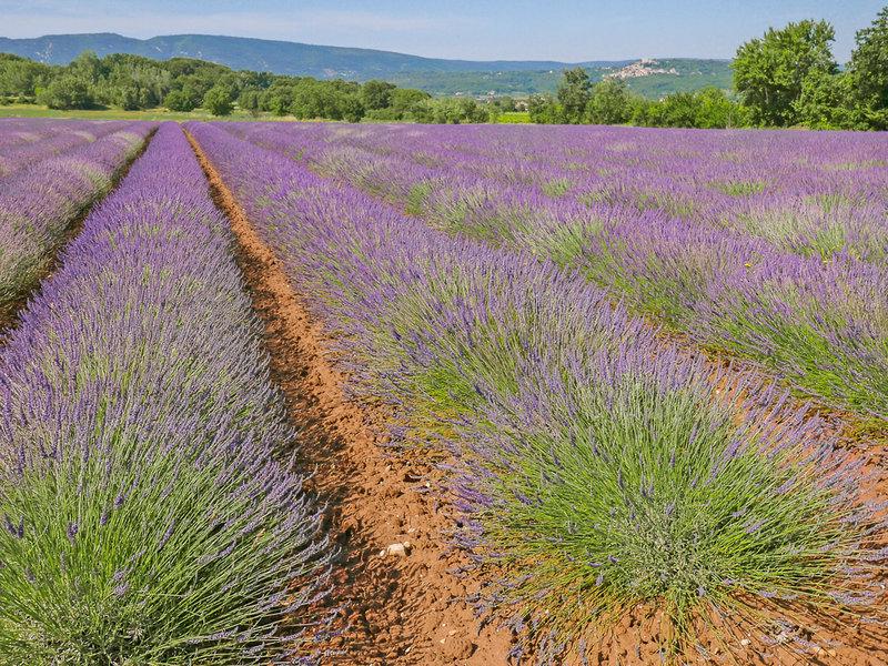 CD6D76BFD1C1AF0136C8BF1939D1A60C