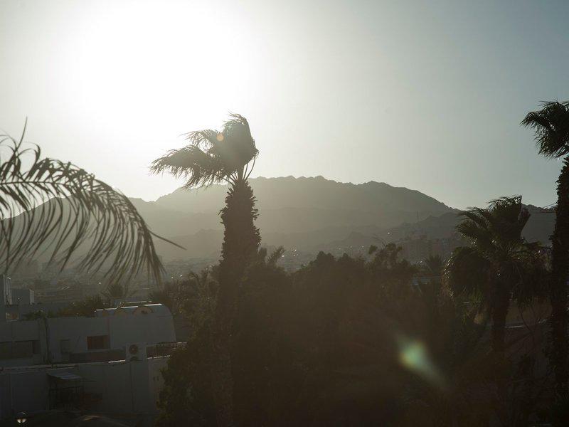 9770DC890C137A0E8D41B47643AF1A3A