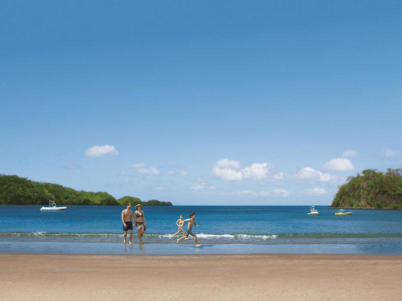 A15F4C8C62D4201DD4D1636F0E27AEDE