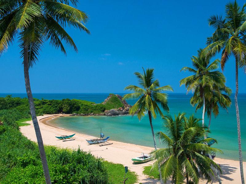 0267FC9364FE6DBC5C447D02C5B60CEF