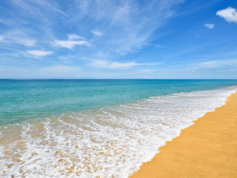 1737F620EA49DC601C4C359166004972