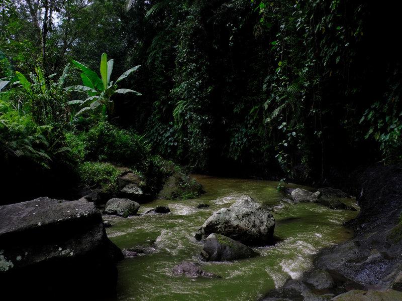 6B45A26038A716203D0A1C11EA22CDF4