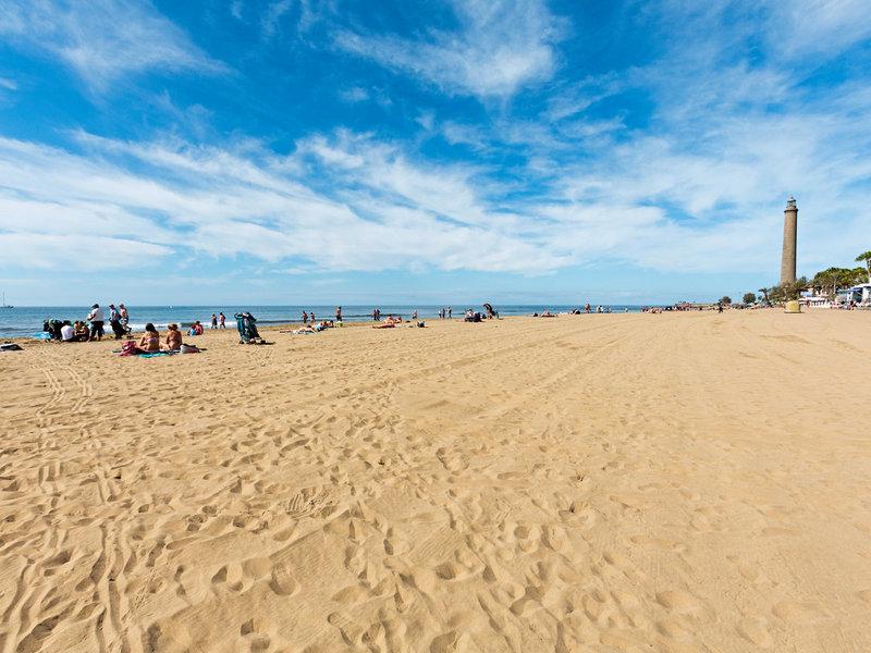 ED74F297EDA774CF58CB8C377D78CC7F