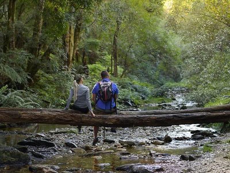 88C5AC78C136A09ABF663FD5D55E2117