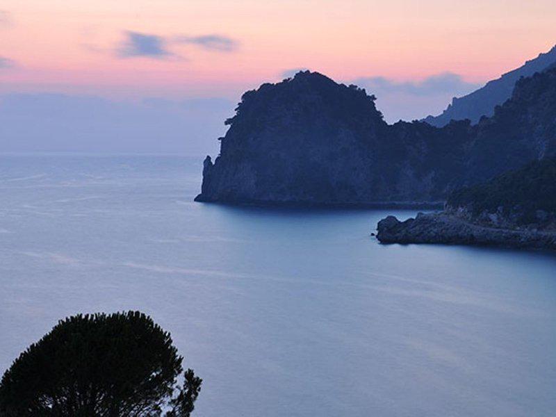 484FC10EAA445EC2FC541D1F111E083A