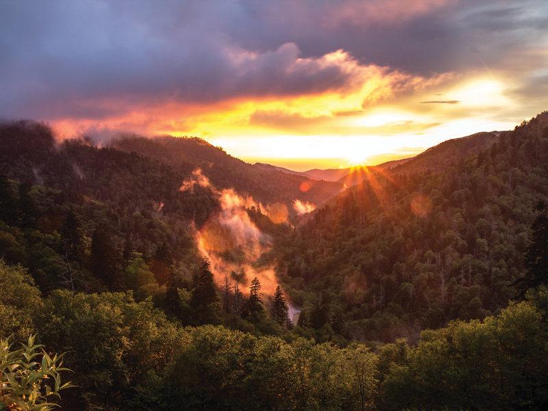 1F361B8D656F77D82193040C020E6968