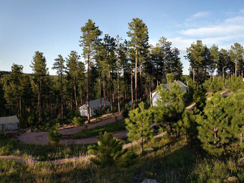 31C8602126C1089047CAA0E3FC1C8B42