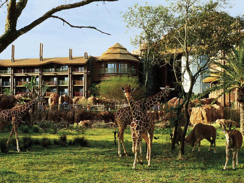 F02AFF511B635900E2CC1263097824BA