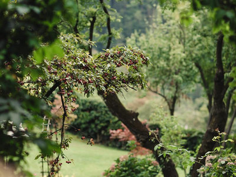 F23CA4136C6CB19A40F5199A040C49FE