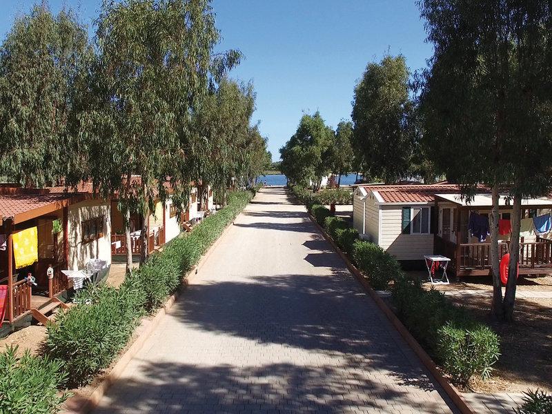 FC6880F610A5D398B5E725BBE111043A