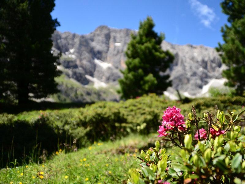 9BD9877D490764768D13120281988C01