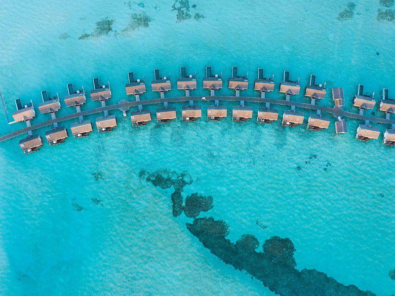 898798687317C76025D34E70D2D1261C