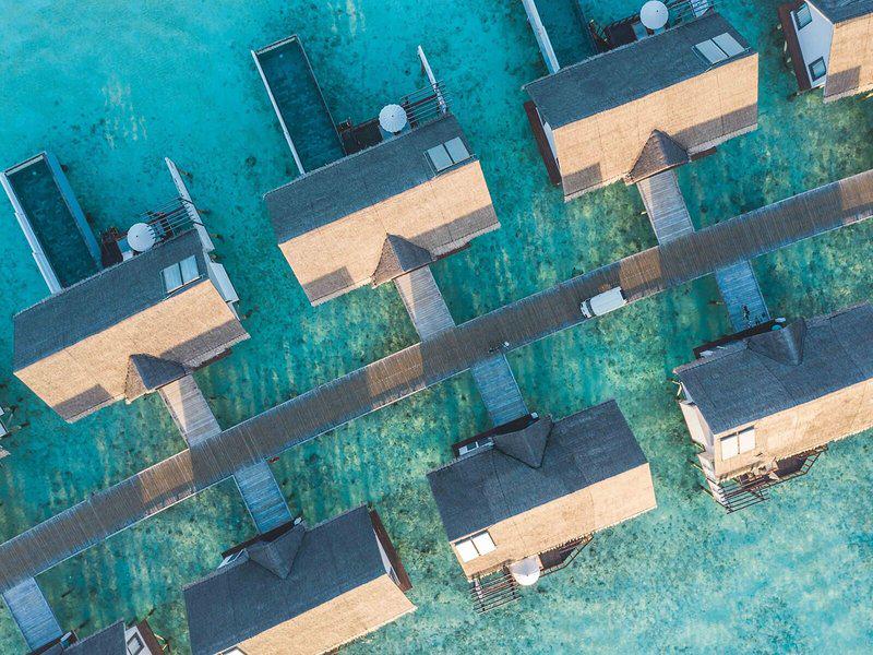 1CA7DD3D83B33B96B3A281AE29AE1C5B