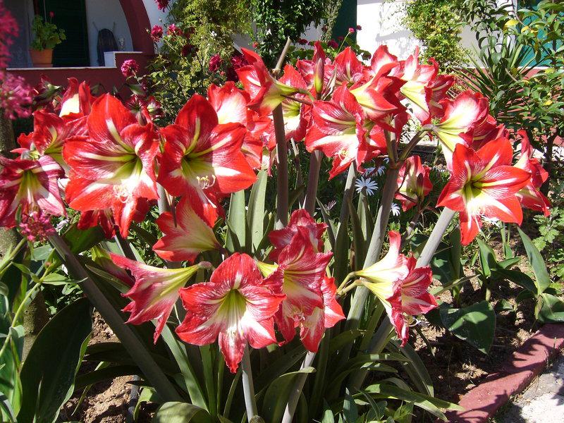 07E4D982BEAD21230ECEE8EC39B89C24