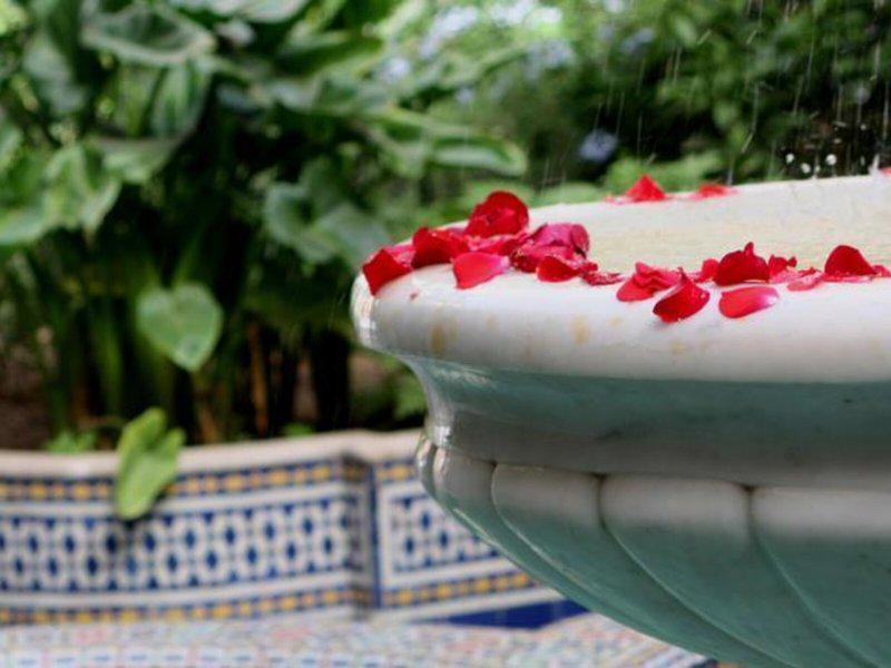 5266AAF8BB222FAA9B8EA3C98C497B97