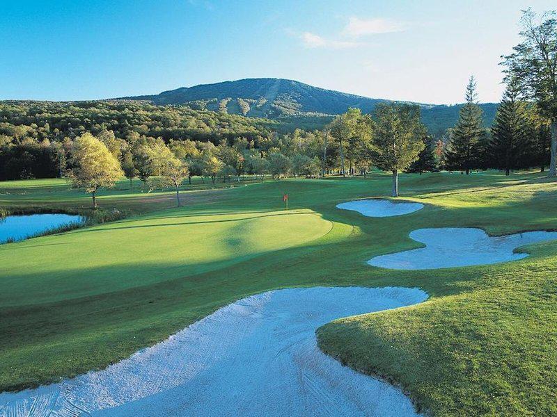 DC94B588FCD6C585DBD81874113A6942