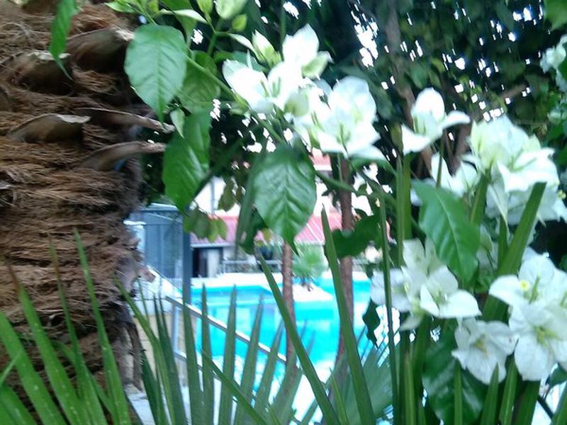 C7AF4E7DE8D12C74246DC9C6F73DE727