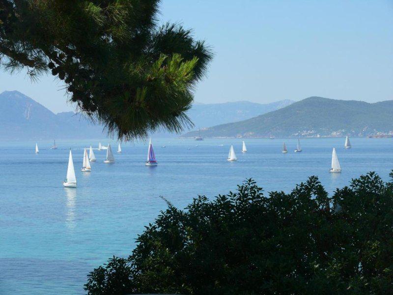 D7343487A371EF1744B49F1E7B90A967