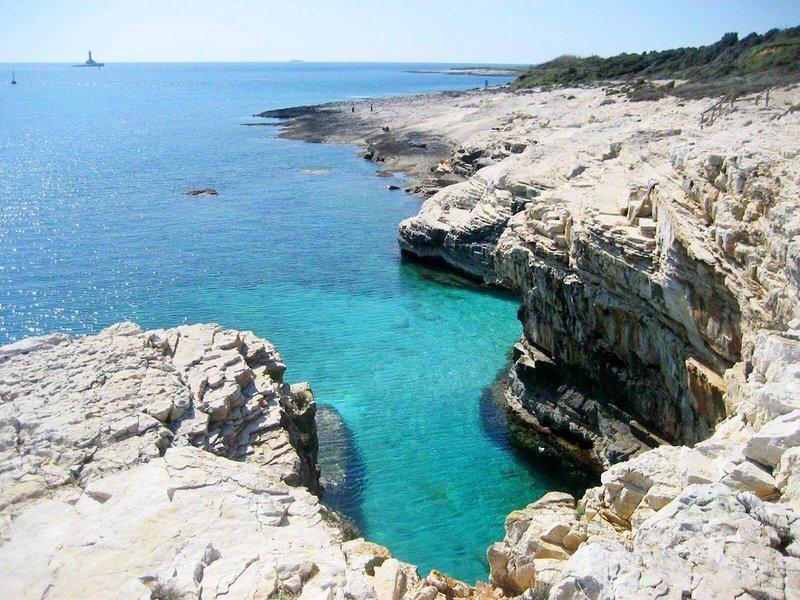 67E44BF7E017094FF0EA150113D8611B