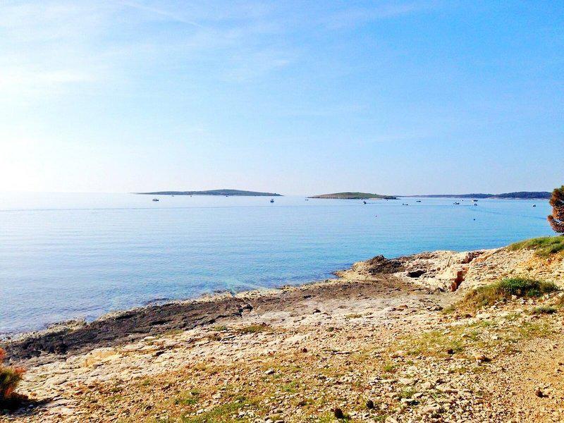 19BEE59A2B077524A713F49FAF2A040B