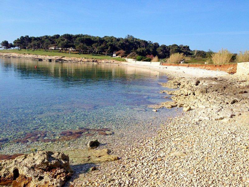 1DBFE094DC95008F5E0CFBC2BE3FE6A4