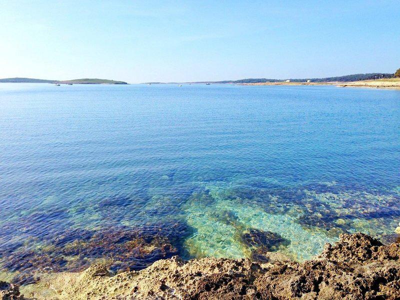 A8358F618FFA5D9F98E5EE13CA5B22B1