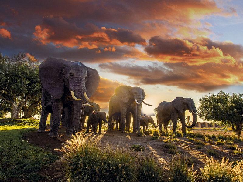 C08290481704E381B7EC32F6DC4146E2