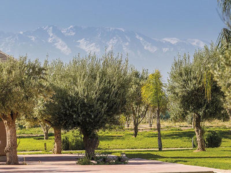 DC1A5D328C10DE6C37DA92455FB3F500