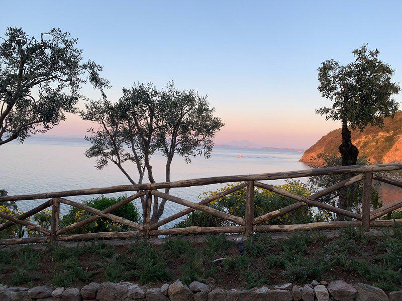 92DD50D6359E407B6F98F8EC9DB150B4