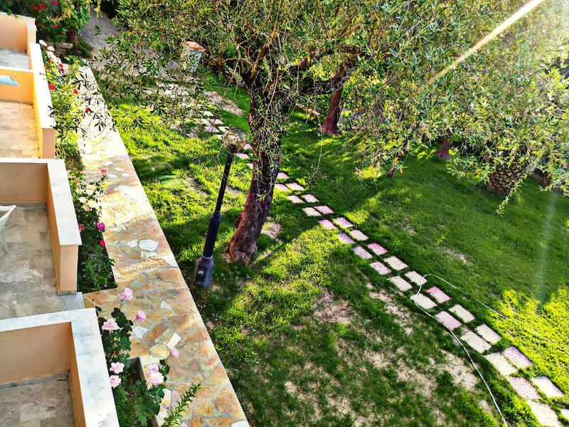 847B7F8AD130A5CA7D48E918E87AE378