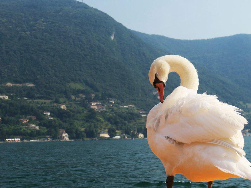 2838D2A6ADDF60F8A46DF2D75112B8DA