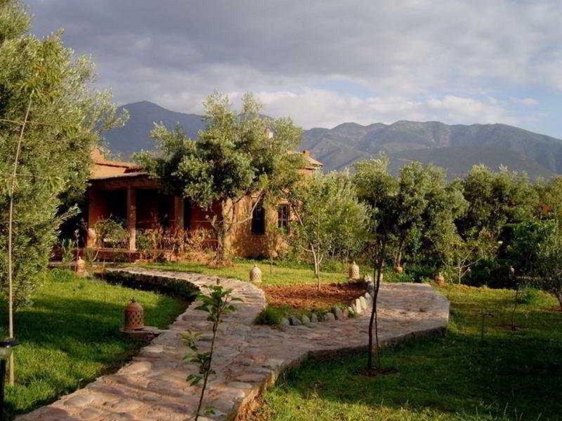 38FC5C68B31649B083A3974A7F8CB225