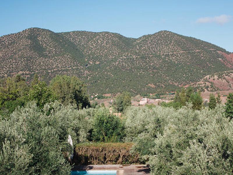 F4974DF274026D4C2DC93EA033066D67