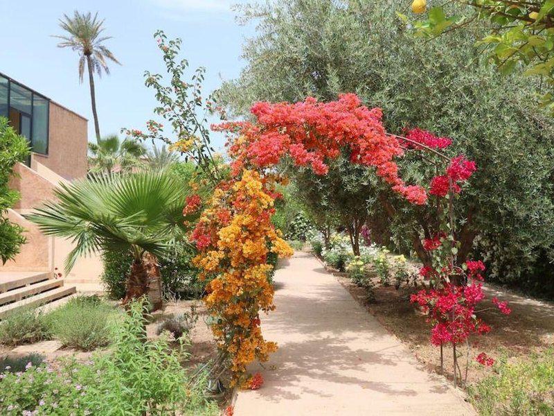 096EB2C96FE5261A8CF81AC3381B2F52