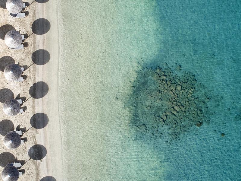 21C04C6A0458E8B319917077C89F9951