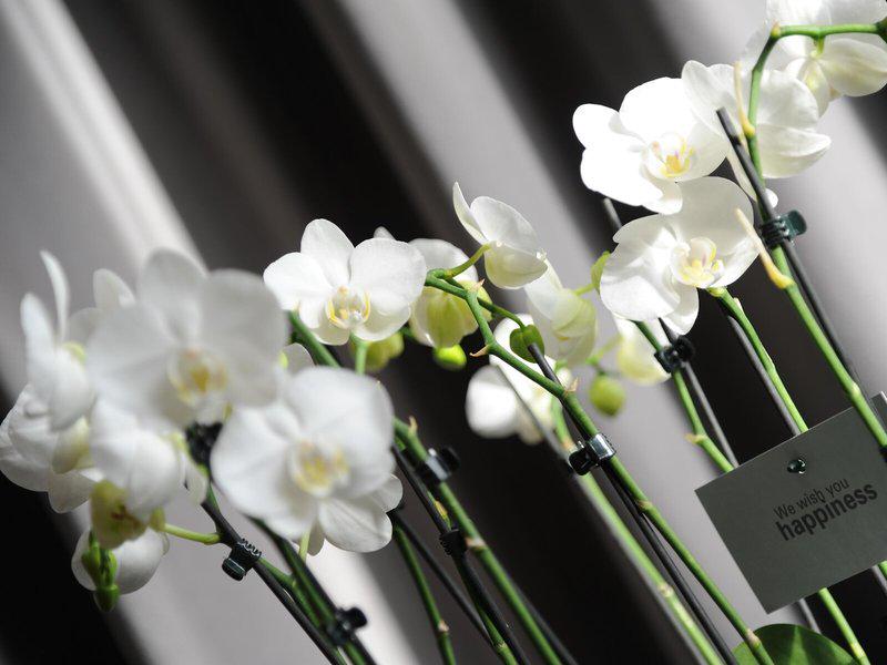 4A8DB7AE4C3D248CBB5C043839BCEEAC