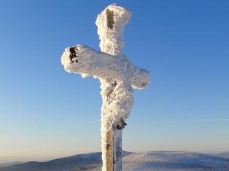 E113C542D2FE7D45109B8F717B19CCE0